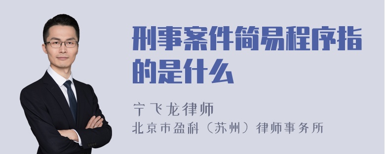 刑事案件简易程序指的是什么