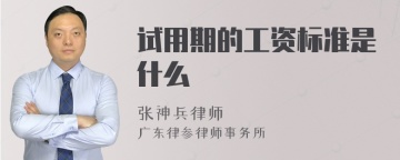 试用期的工资标准是什么