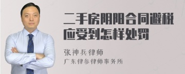 二手房阴阳合同避税应受到怎样处罚