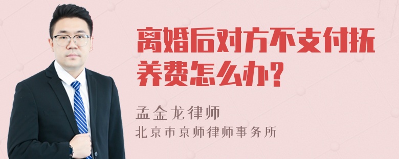 离婚后对方不支付抚养费怎么办?