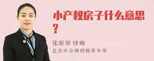 小产权房子什么意思?