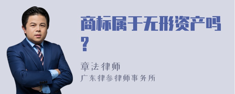 商标属于无形资产吗?