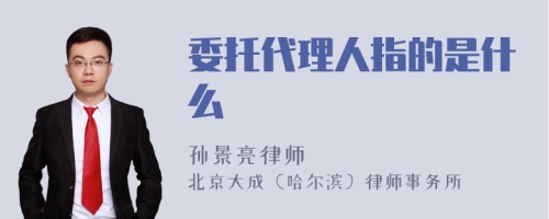 委托代理人指的是什么