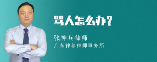 骂人怎么办？