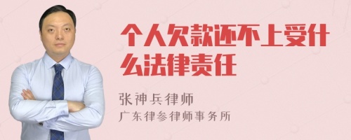 个人欠款还不上受什么法律责任