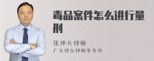 毒品案件怎么进行量刑