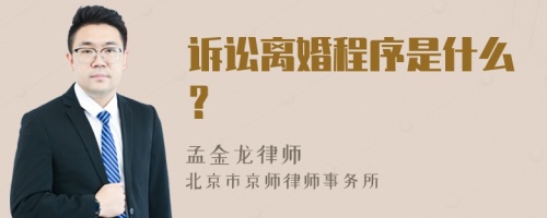 诉讼离婚程序是什么？