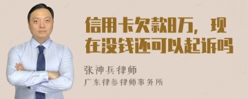 信用卡欠款8万，现在没钱还可以起诉吗