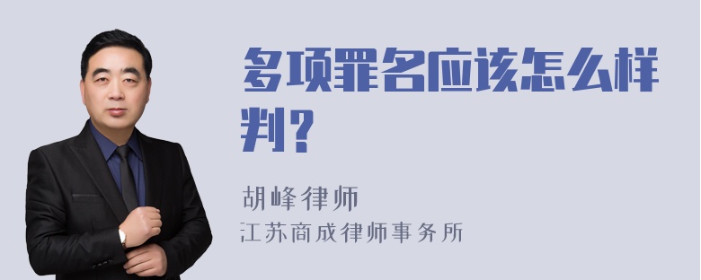 多项罪名应该怎么样判？