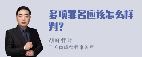 多项罪名应该怎么样判？