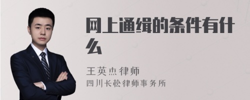 网上通缉的条件有什么