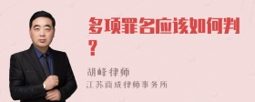 多项罪名应该如何判？