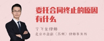 委托合同终止的原因有什么