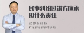 民事纠纷过错方应承担什么责任