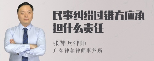 民事纠纷过错方应承担什么责任