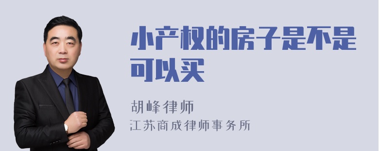 小产权的房子是不是可以买