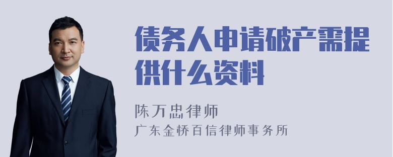 债务人申请破产需提供什么资料