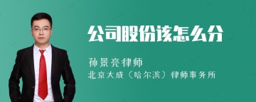 公司股份该怎么分