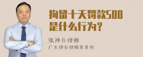 拘留十天罚款500是什么行为？