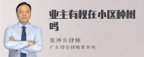 业主有权在小区种树吗