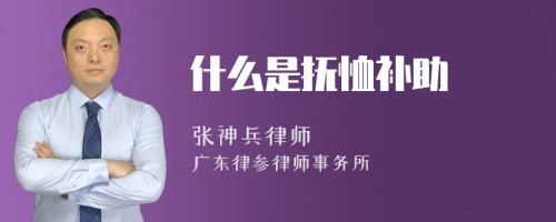 什么是抚恤补助