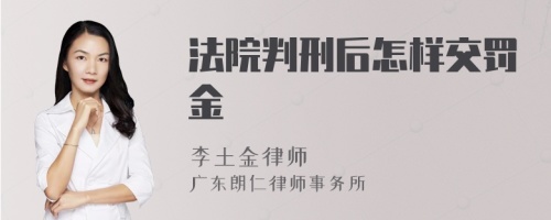 法院判刑后怎样交罚金