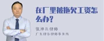 在厂里被拖欠工资怎么办?