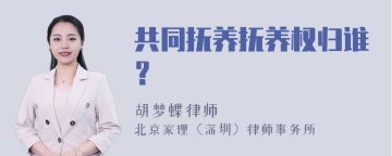 共同抚养抚养权归谁？