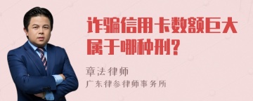 诈骗信用卡数额巨大属于哪种刑?