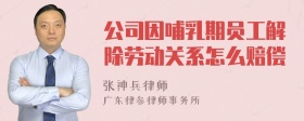 公司因哺乳期员工解除劳动关系怎么赔偿