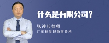 什么是有限公司？