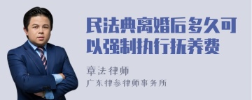 民法典离婚后多久可以强制执行抚养费