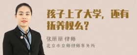 孩子上了大学，还有抚养权么？