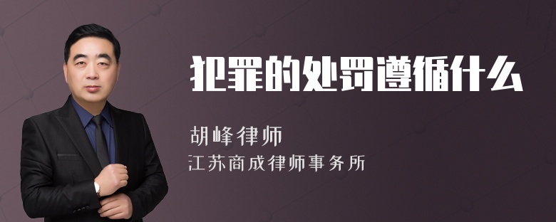 犯罪的处罚遵循什么