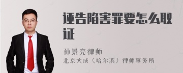 诬告陷害罪要怎么取证