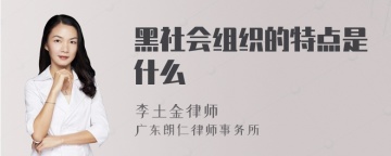 黑社会组织的特点是什么