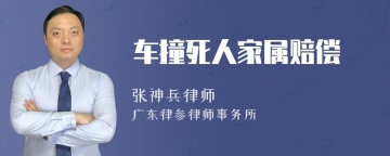 车撞死人家属赔偿