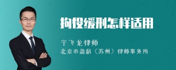 拘役缓刑怎样适用