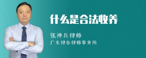 什么是合法收养