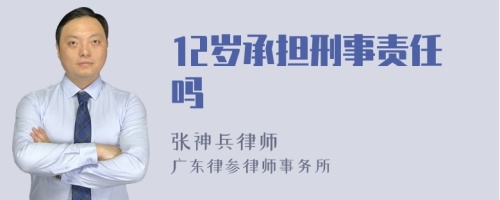 12岁承担刑事责任吗