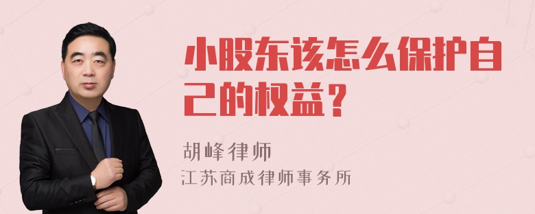 小股东该怎么保护自己的权益？