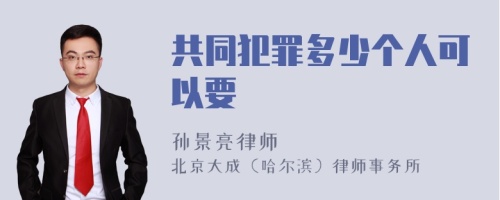 共同犯罪多少个人可以要