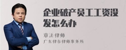 企业破产员工工资没发怎么办