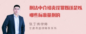 刑法中介绍卖淫罪既遂是以哪些标准量刑的