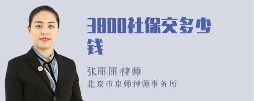 3800社保交多少钱