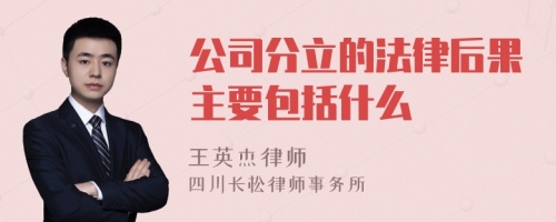 公司分立的法律后果主要包括什么