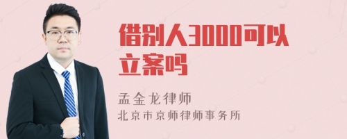 借别人3000可以立案吗