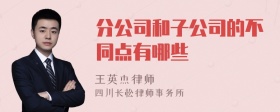 分公司和子公司的不同点有哪些