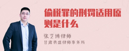 偷税罪的刑罚适用原则是什么