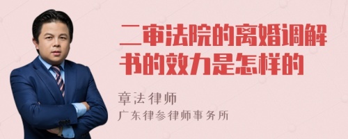 二审法院的离婚调解书的效力是怎样的